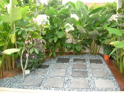 Serangoon Garden Estate (D19), Terrace #146804502